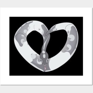 Ball Python Heart (Pied) Posters and Art